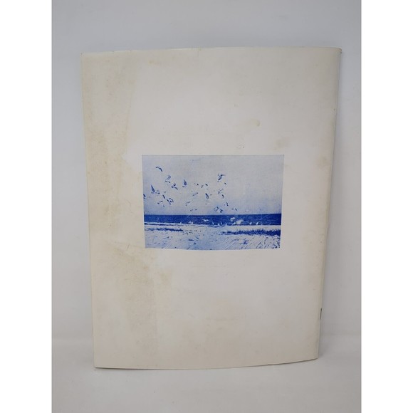 Pictorial History of Pensacola City Fiesta of Five Flags Souvenir Book VTG 1950s - Picture 2 of 13